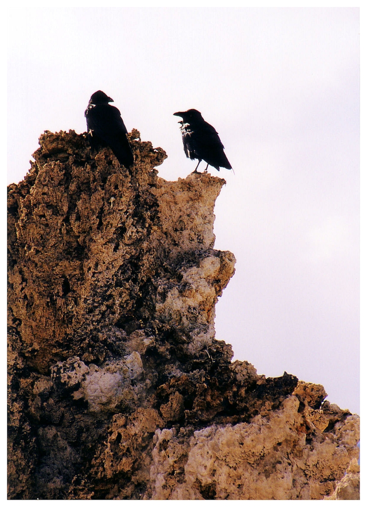 06 - Californie (3).jpg